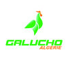 GALUCHO ALGERIE